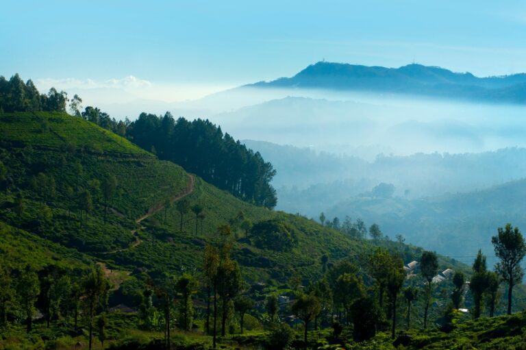 🌄 Nuwara Eliya, Ella & Horton Plains – Exploring Sri Lanka’s Hill Country